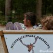 Wildpark Oberreith